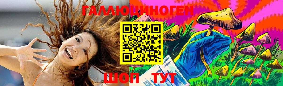 Новомосковск  Псилоцибиновые грибы Magic Shrooms  Вход с VPN 