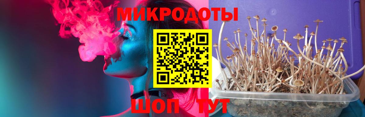 Псилоцибиновые грибы MAGIC MUSHROOMS Новомосковск